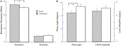 Assessing Hand Muscle Structural Modifications in Chronic Stroke